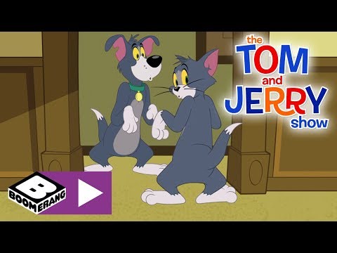 The Tom and Jerry Show | Tom the Dog and Jerry the Cat | Boomerang UK