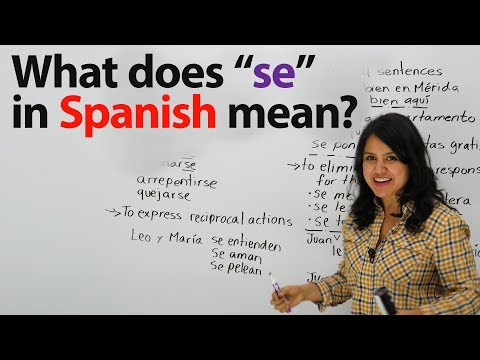 What is &quot;SE&quot; in Spanish?-- Learn EVERYTHING about &quot;SE&quot;