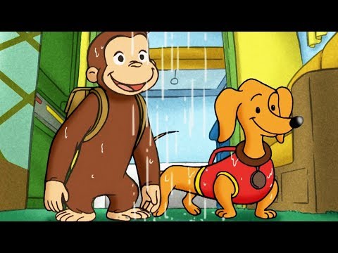 Curious George 🐵Camping with Hundley 🐵Full Episode 🐵 HD 🐵 Videos For Kids