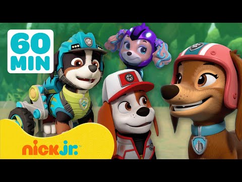 Patrulha Canina | Conhe&ccedil;a os NOVOS Membros da Equipe da Patrulha Canina! | Nick Jr. em Portugu&ecirc;s