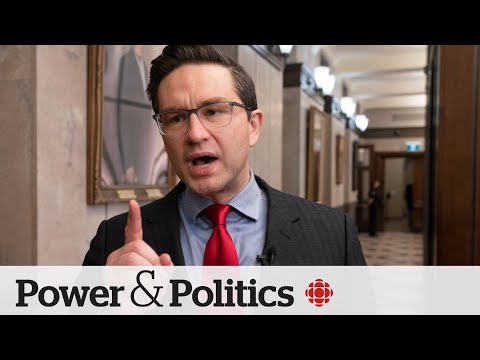 Political Pulse panel: Poilievre on the defensive over Ukraine vote, 'terror' question