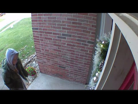 &lsquo;Block her in! She&rsquo;s stealing&rsquo; I Suspected porch pirate surprised by couple returning home