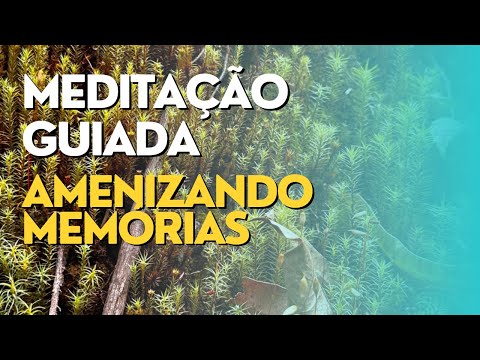 MEDITA&Ccedil;&Atilde;O GUIADA AMENIZANDO MEM&Oacute;RIAS