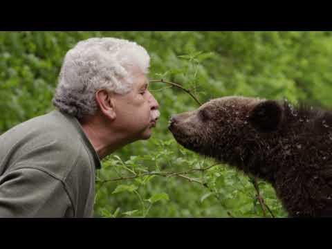 The Adventures Of Orphaned Bear Cubs In The Carpathian Mountains | Wildlife Documentary