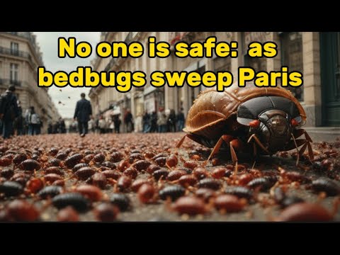 'No one is safe': France vows action as bedbugs sweep Paris 🙀