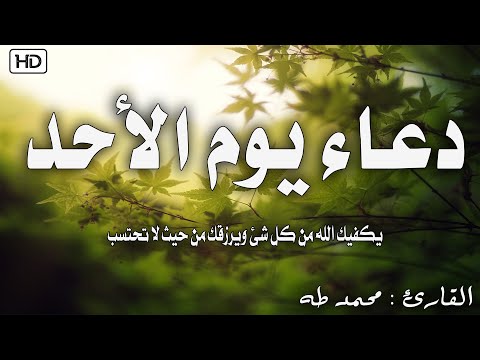 أفضل دعاء في يوم الأحد لرفع البلاء وقضاء الحوائج وجلب الرزق والفرج وتيسير الامور باذن الله 🤲🤲