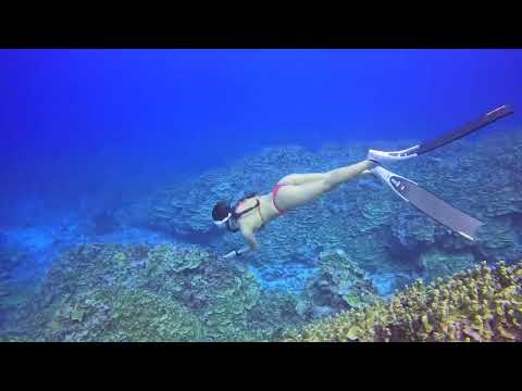 사이판프리다이빙 saipanfreediving