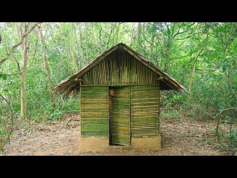 New House Was Build in Forest