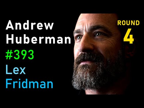 Andrew Huberman: Relationships, Drama, Betrayal, Sex, and Love | Lex Fridman Podcast 