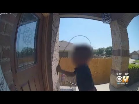 Boy beats on Texas family's door with whip; father arrested for firing gun