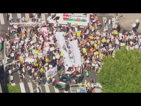 Hundreds participate in pro-Palestinian rally in LA on Black Friday