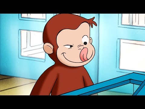 Curious George 🐵1 Hour Compilation 🐵Full Episode 🐵 HD 🐵 Videos For Kids