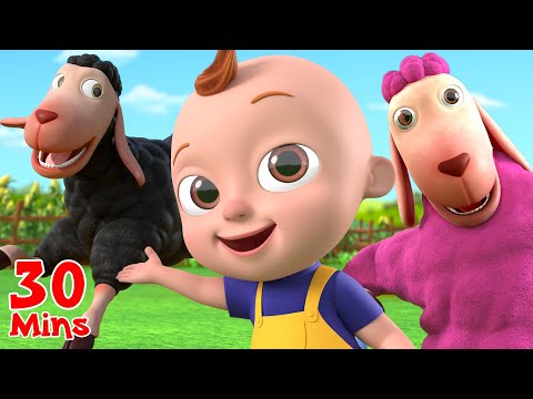 Baa Baa Black Sheep + Many More Nursery Rhymes &amp; Baby Songs | Beep Beep