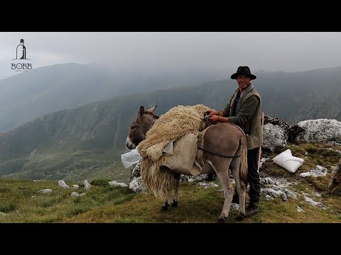 VIAȚA CIOBANILOR DIN MUNȚII RETEZAT CU PUIU MĂDĂLIN - DOCUMENTAR EP.1