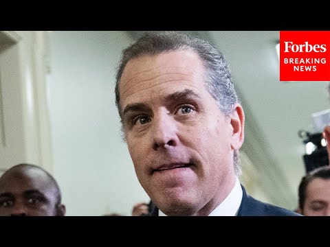 GOP Lawmaker Calls Out Hunter Biden's Plea Deal In Remarks Supportive Of Contempt Charge