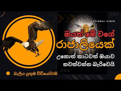 Sinhala motivational video | Eagle motivation | Sinhala motivational speech 