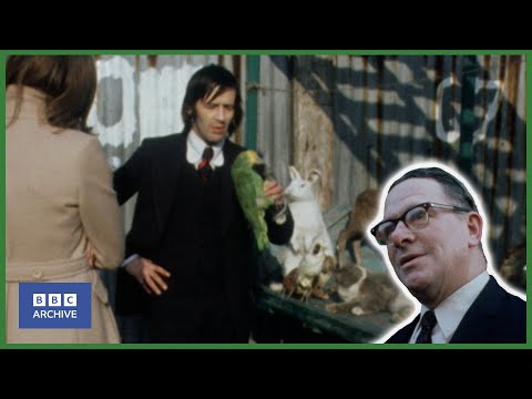 1973: The MYSTERIOUS DEATH of BILLY the BUDGIE | Nationwide | Weird and Wonderful | BBC Archive