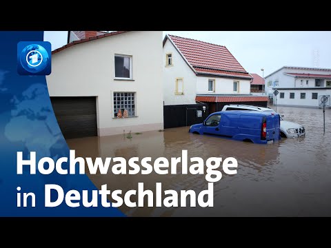 Dauerregen und durchweichte Deiche: Hochwasserlage in Deutschland