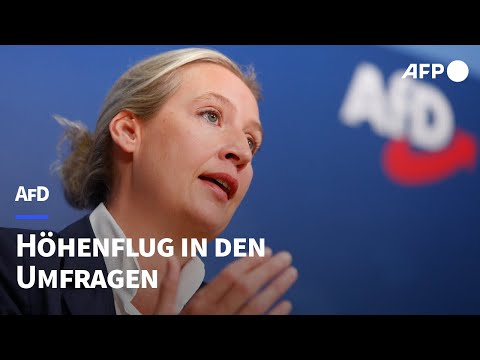 AfD erreicht in Forsa-Umfrage neues Allzeithoch | AFP