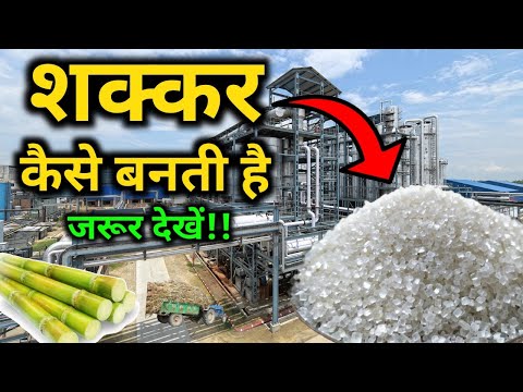 फैक्ट्री में चीनी ( शक्कर ) कैसे बनती हैं ? | How Sugar is made ? | by 