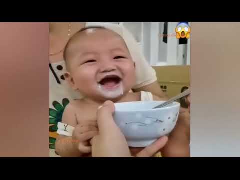 Best Funny The Day / Funny Moments / Awesome video #37