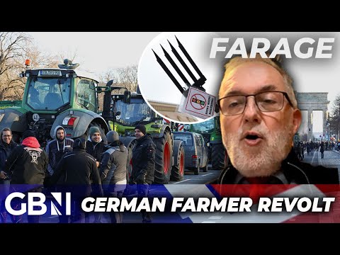 AfD STORMS ahead in polls as German farmers REVOLT against 'stupid' government