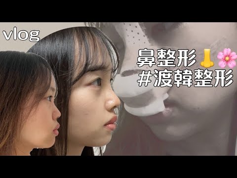 【鼻整形】ついに韓国で鼻整形・・ダウンタイム10日間vlog