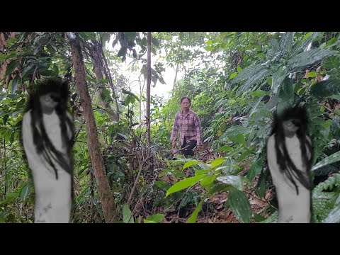 Danger in the forest, strange creatures scared me, Life of a poor girl | Ly Thi Mai.