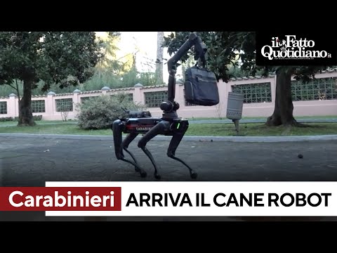 Arruolato &quot;Saetta&quot;, il primo cane robot dei carabinieri: novit&agrave; assoluta in Italia