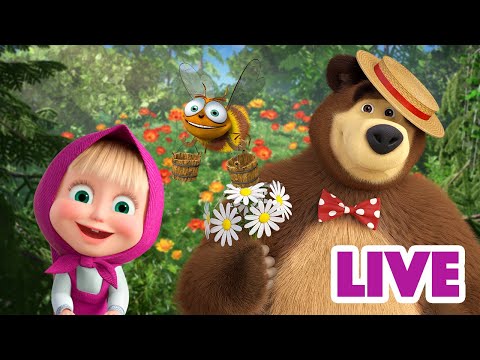 ماشا والدب 👱&zwj;♀️ LIVE STREAM! 🍓🥧 جاهز دائمًا للمساعدة 🍓🥧 Masha and the Bear