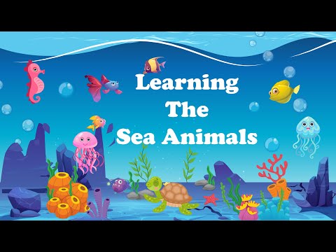 Sea Animals | Learn Sea Animals Names | Kids Vocabulary | Educational Video for Kids