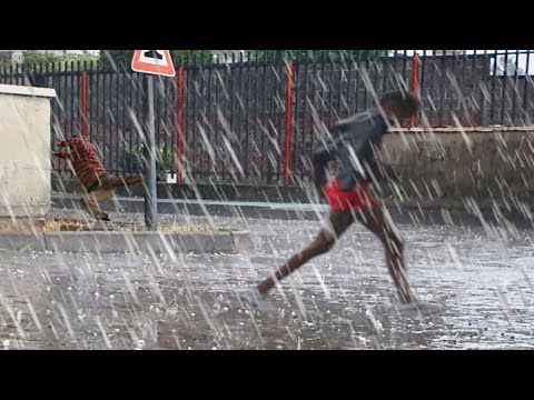 On Milan rained STONES from the Sky! Heavy hail storm in Italy.