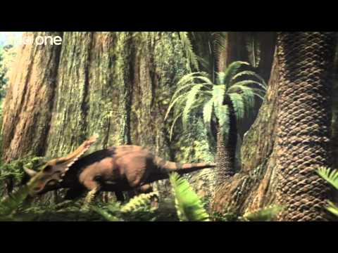 Tyrannosaur Rivalry - Planet Dinosaur  - Episode 3 - BBC One