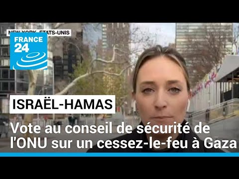 Gaza : vote au conseil de s&eacute;curit&eacute; de l'ONU sur un cessez-le-feu dans l'enclave &bull; FRANCE 24