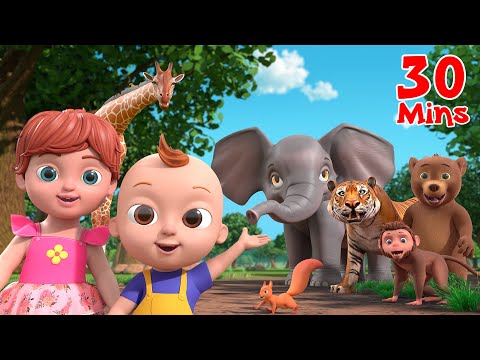 Going To the Forest (Jungle Safari) Wild Animals for Kids + More Nursery Rhymes &amp; Songs by Beep Beep