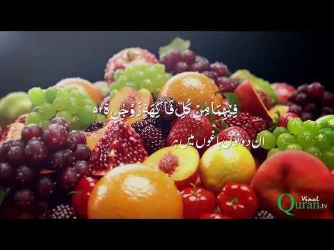 Surah Rahman With Urdu / Hindi Translation &amp; Visual Effects سورة الرحمن┇Beautiful Quran Recitation