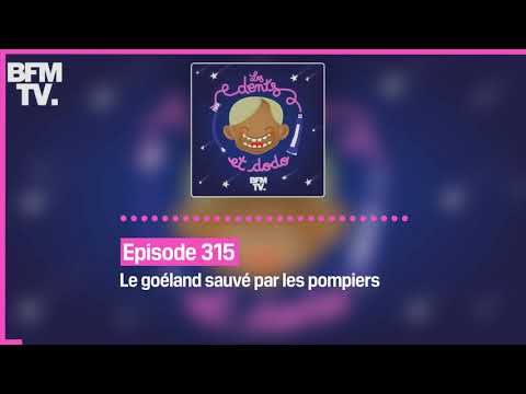 &Eacute;pisode 315 : Le go&eacute;land sauv&eacute; par les pompiers - Les dents et dodo