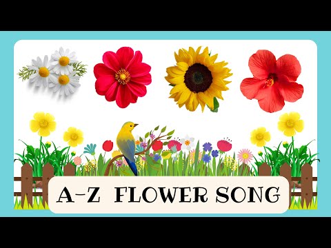 FLOWER SONG | ABC FLOWER SONG | A TO Z FLOWER SONG