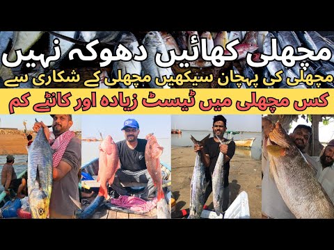 Fish Identification by names in Urdu Hindi | How to buy fish | Karachi Fishery Latest update 2023