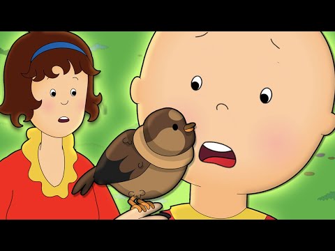 Caillou and the Bird | Caillou Cartoon