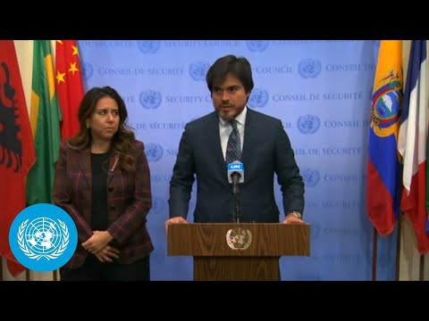 Ecuador &amp; United Arab Emirates on the Middle East | Security Council | United Nations