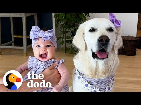 Dog Can't Wait To Meet Her Baby Sister | The Dodo