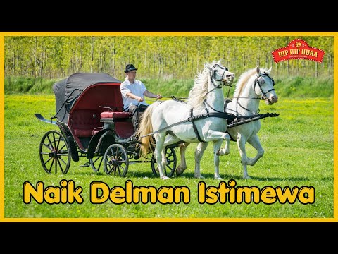 LAGU NAIK DELMAN - NAIK DELMAN ISTIMEWA - LAGU ANAK INDONESIA