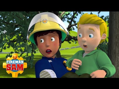 Ellie Saves James &amp; the Little Cadets | Fireman Sam US | Cartoons for Kids