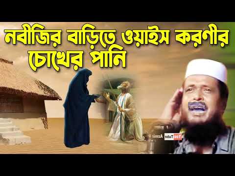 নবীজির বাড়িতে ওয়াইস করণীর চোখের পানি । তোফাজ্জল হোসেন ভৈরবী । tofazzal hossain bhairovi |