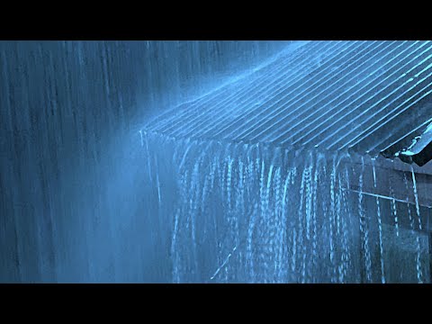 🔴 Heavy Rain on a Tin Roof for Sleeping 24/7, Sleep Instantly with Rain Sounds &amp; Thunder at Night