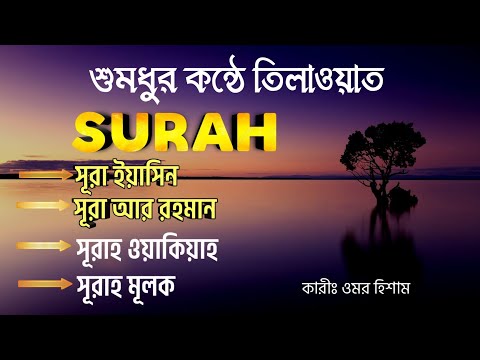 শুমধুর কন্ঠে তিলাওয়াত || Surah Yasin,Surah Ar Rahman, Surah Al Waqiah, Surah Mulk || Omar Hisham