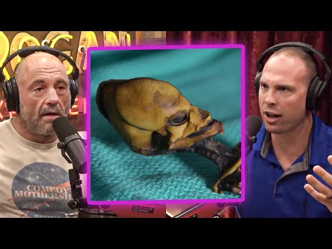 David Grusch on Joe Rogan: Aliens Created Humans?