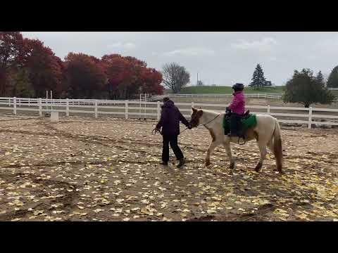 Rose Rides a Horse