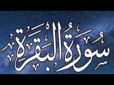 سورة البقره  مباشر الان بصوت جميل جدا  راحة نفسية لا توصف